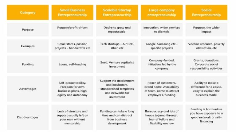 Differences between the four types of entrepreneurship, types of entrepreneurship, Which type of entrepreneurship should I consider