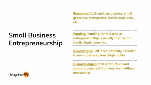 four-types-of-entrepreneurship-for-a-founder-inspire99